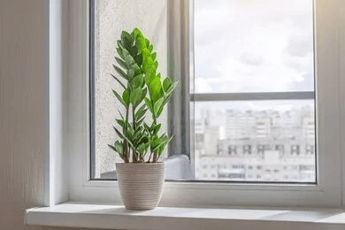 Solid Surface Window Sill